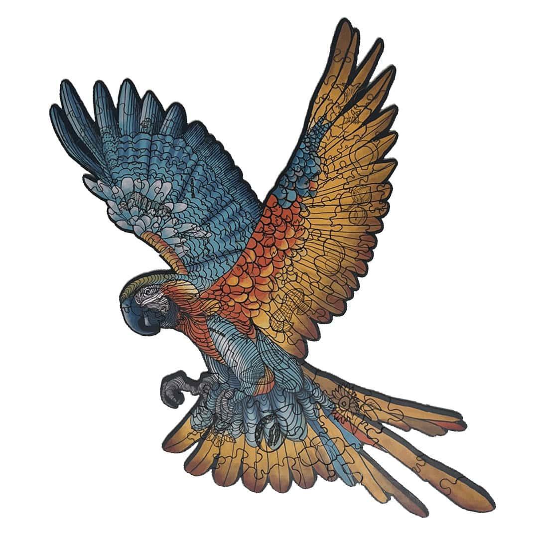 Miniatura 4