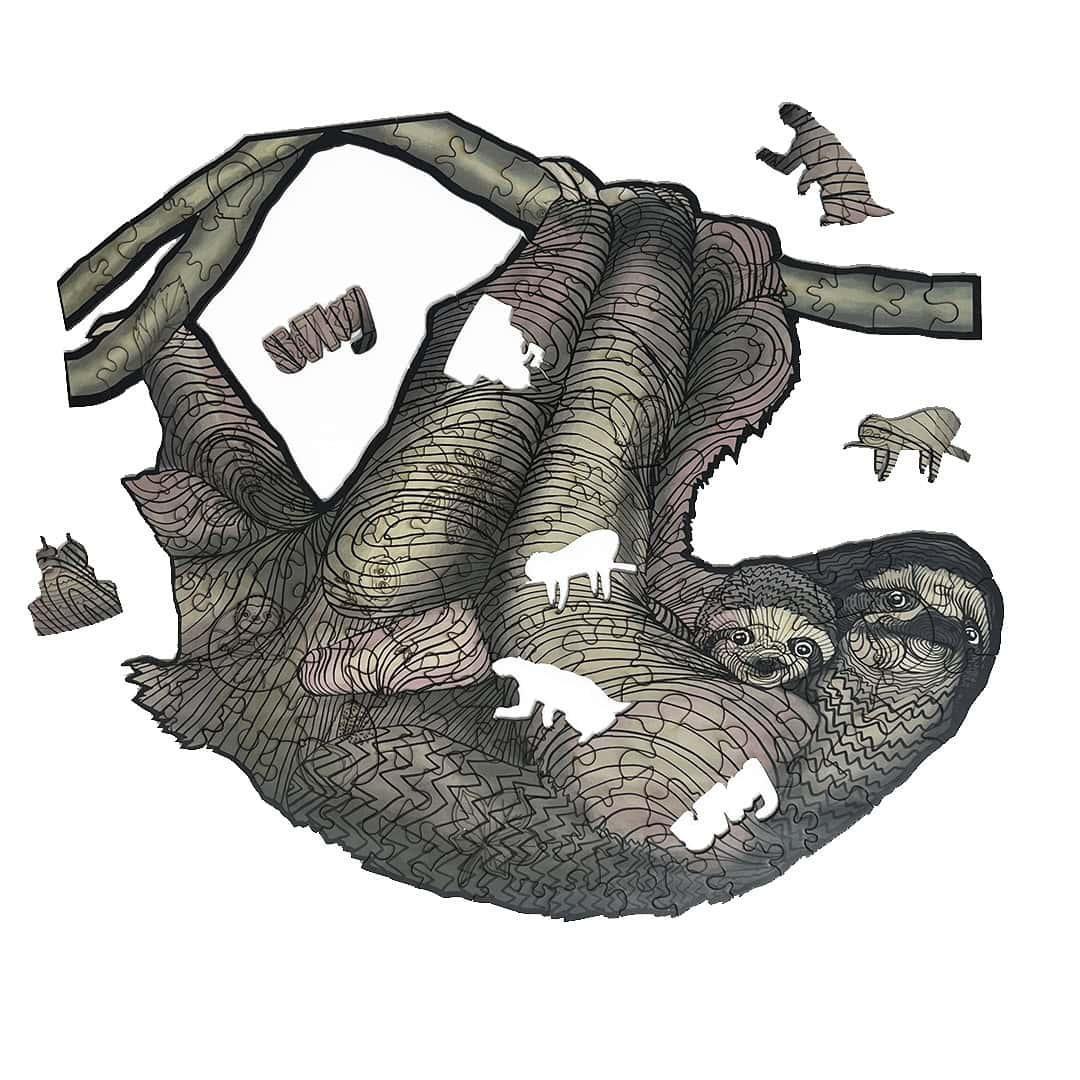 Miniatura 6